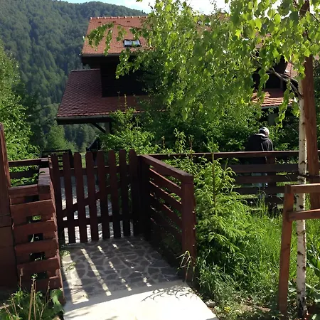 Tatil Evi Andu's Azuga